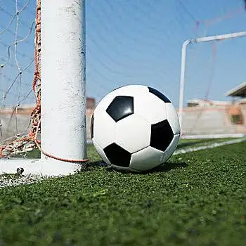 职业球迷使用葡超昨晚即时比分查询赛果